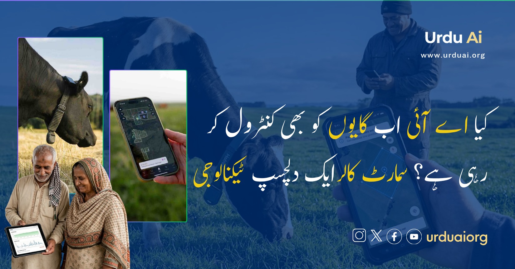 کیا اے آئی اب گایوں کو بھی کنٹرول کر رہی ہے؟ سمارٹ کالرایک دلچسپ ٹیکنالوجی