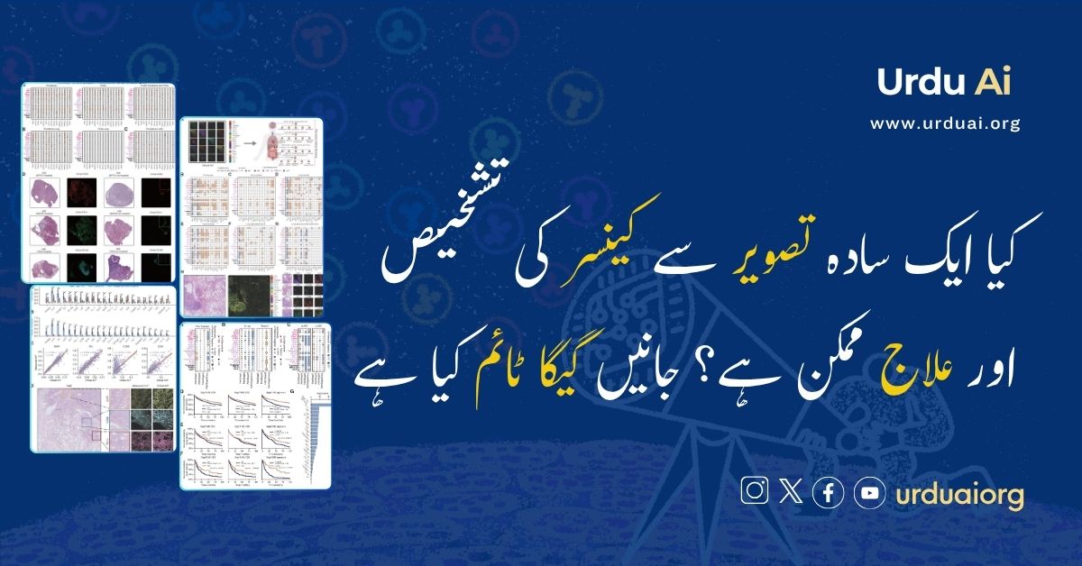 کیا ایک سادہ تصویر سے کینسر کی تشخیص اور علاج ممکن ہے؟ جانیں گیگا ٹائم کیا ہے